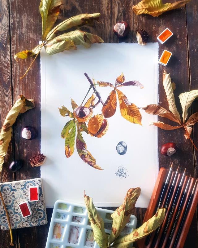 Chestnut Branch