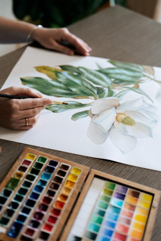 "Magnolia flowers"