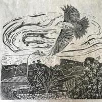 Skylark on Dartmoor