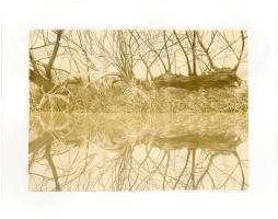 Rerooted (on Quidi Vidi Shore)
