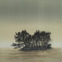 Dune Pines