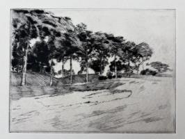 Golfscapes: Fairways