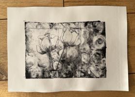 Impressions of What Remains