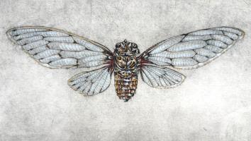 'Ressurection'