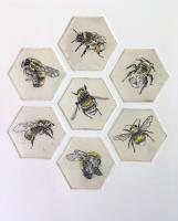 Colony