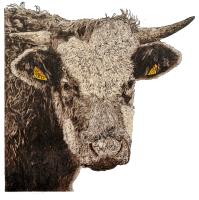 The Bull of Cissbury 