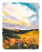 Summer Moor