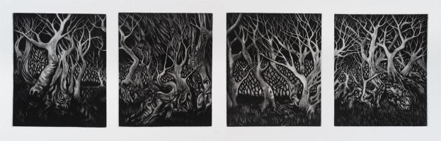 Wood of Wild Olive