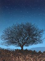 Reach For The Stars