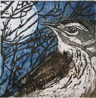 Thrush