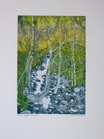 Beinn Eighe, Dry Burn