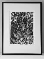 Forest & Ferns