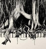 The Tree Hugger