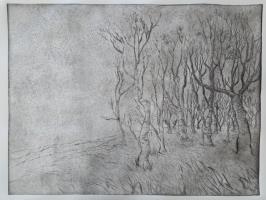 The Clearing