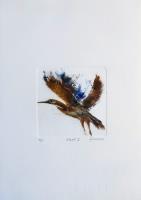 Stork I