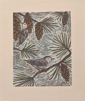 Nuthatches