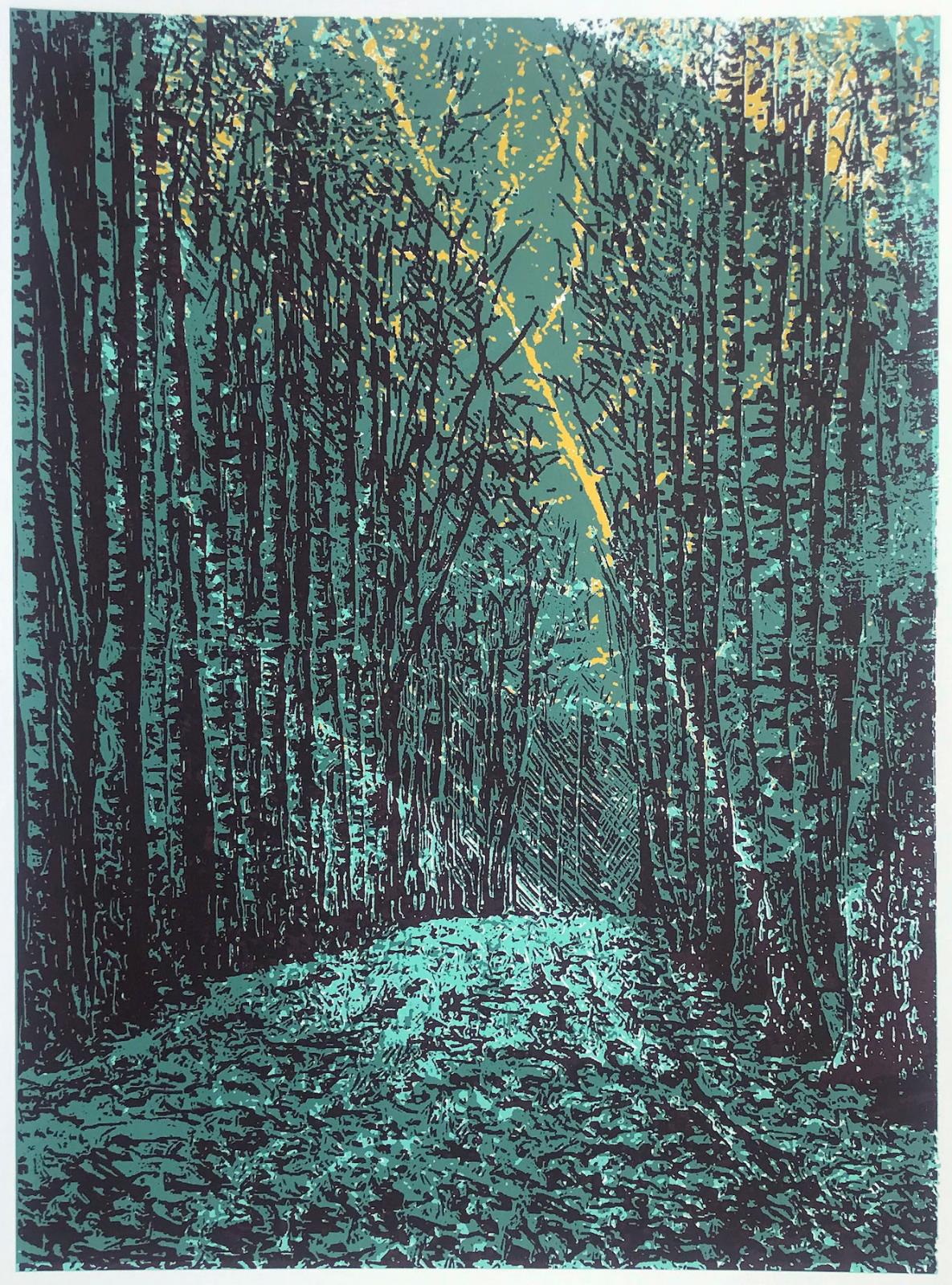 A light beyond these woods