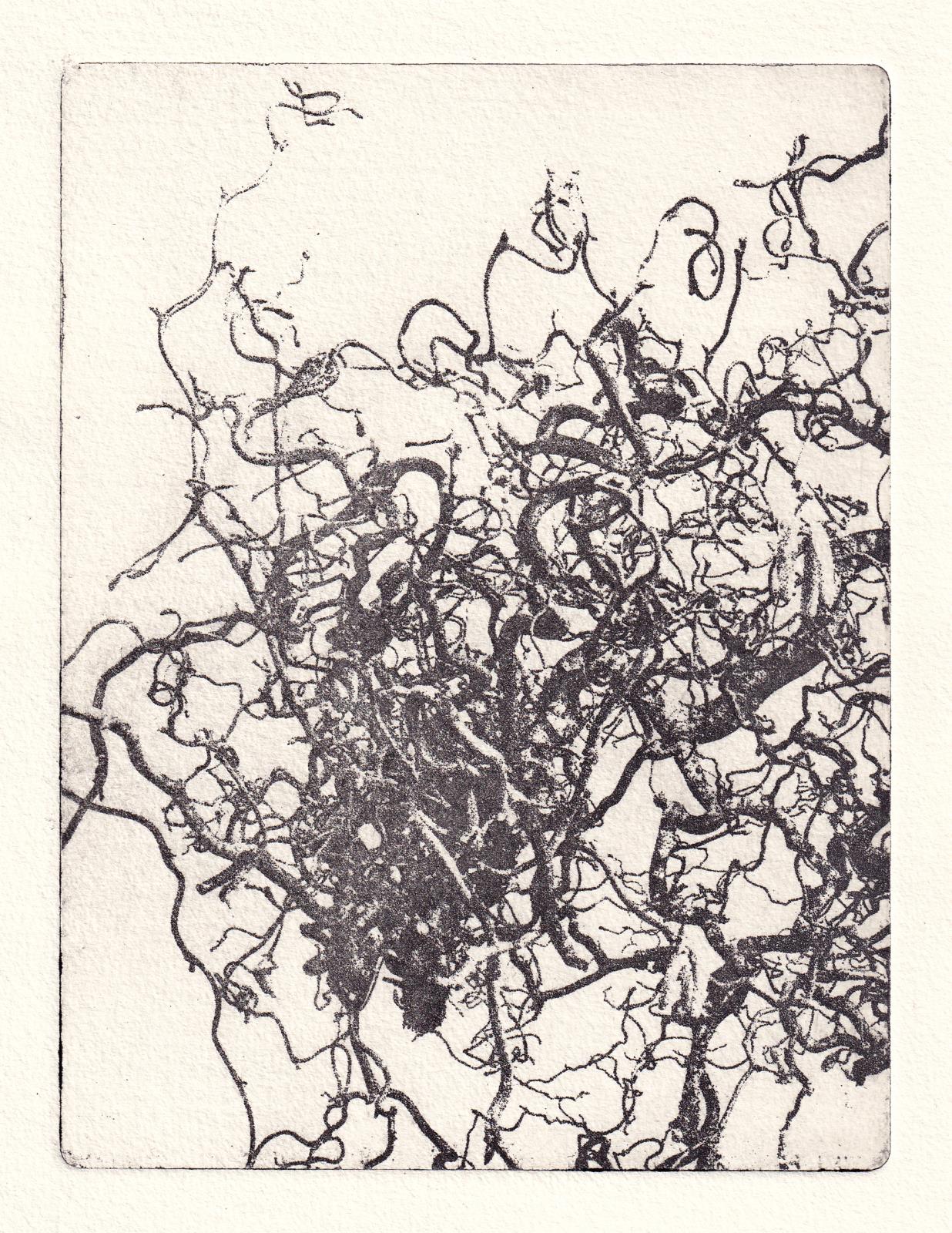 Bäume 4 (Trees 4) 