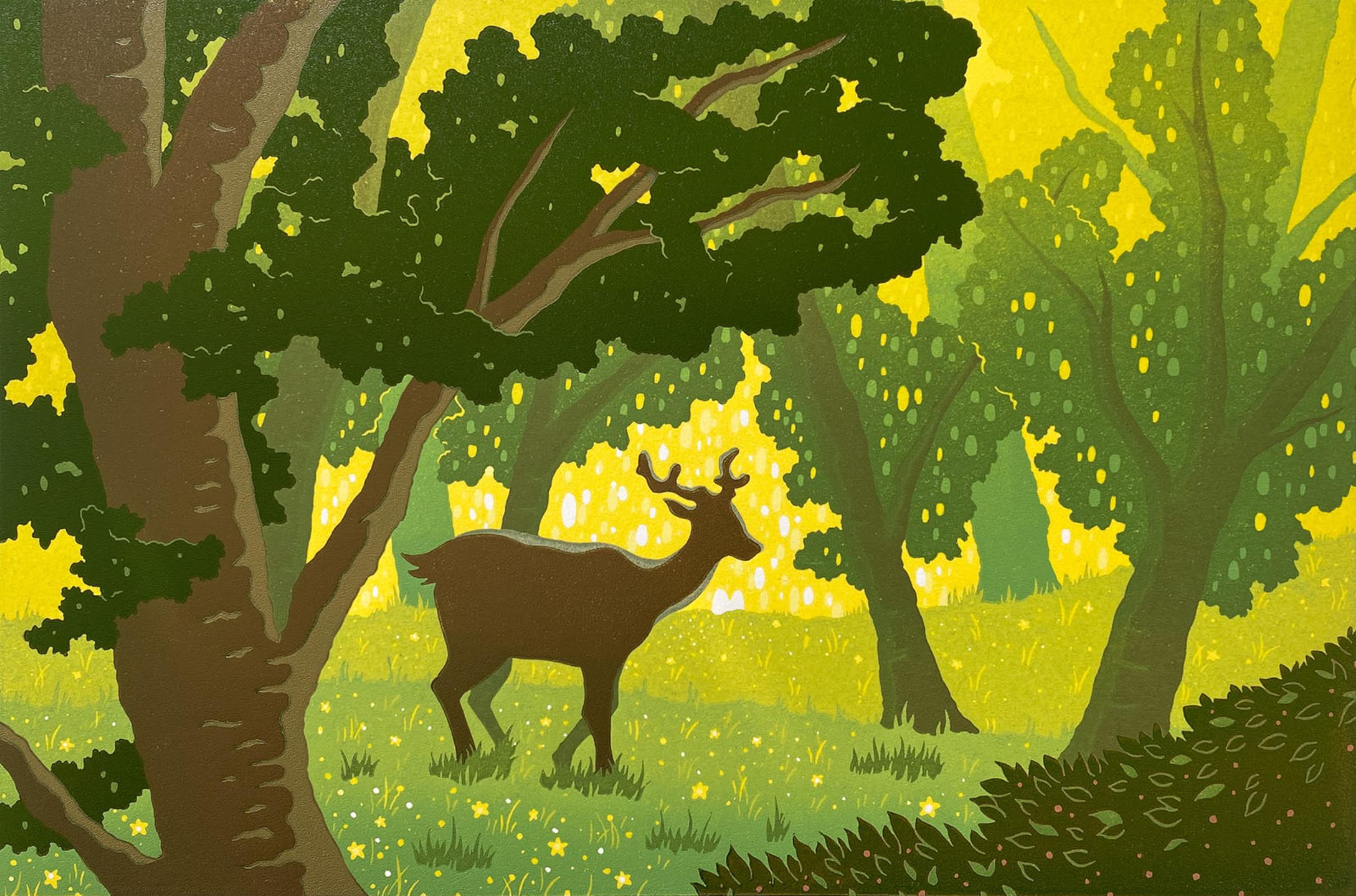 Lost Woods