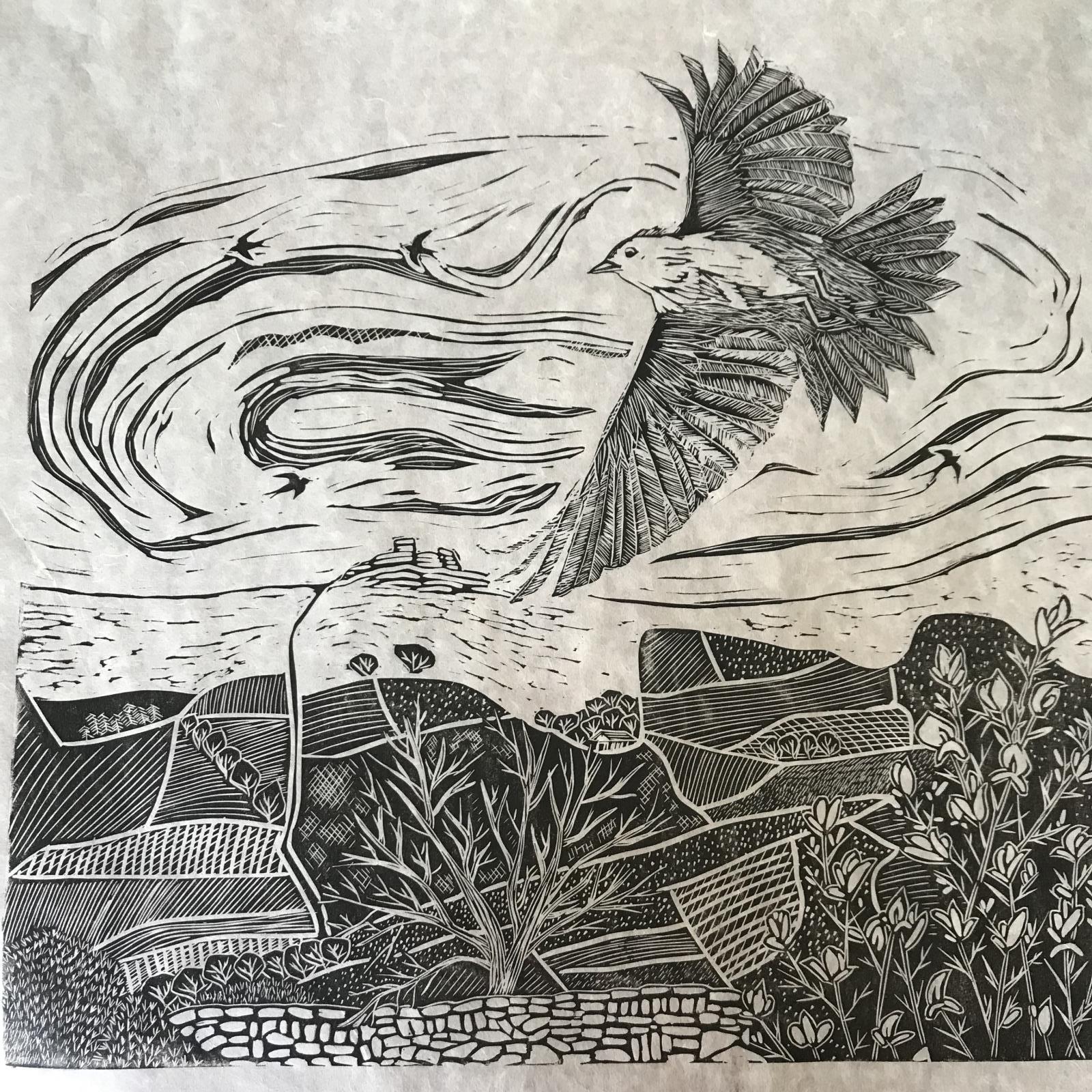 Skylark on Dartmoor