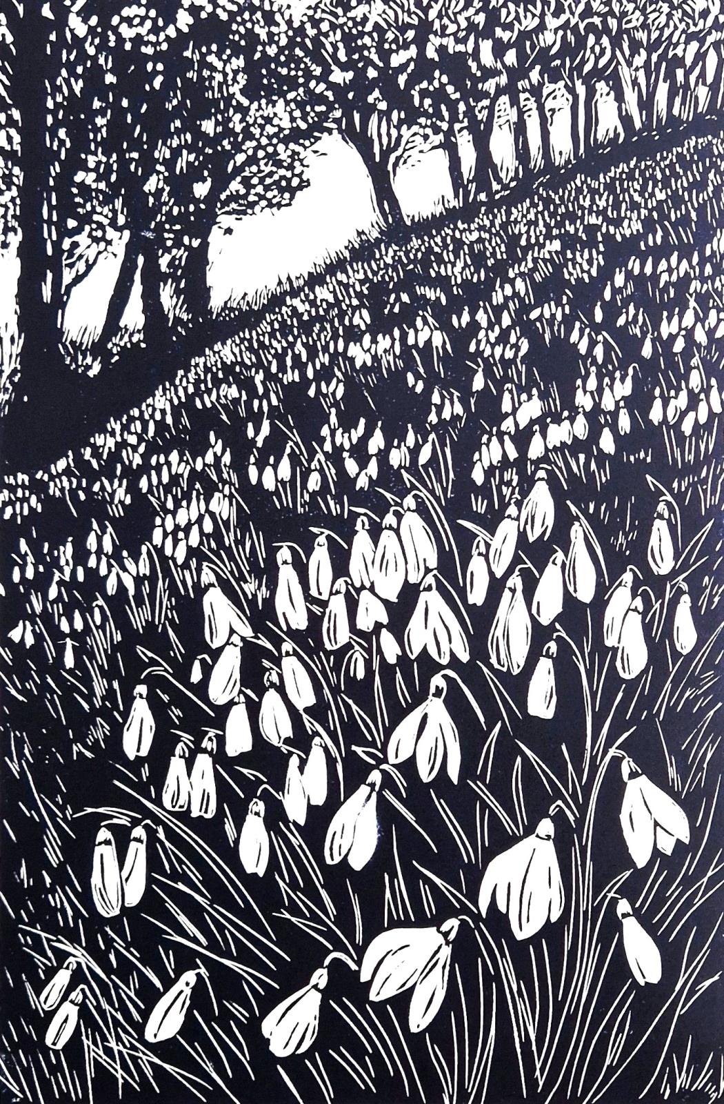 Snowdrop Wood