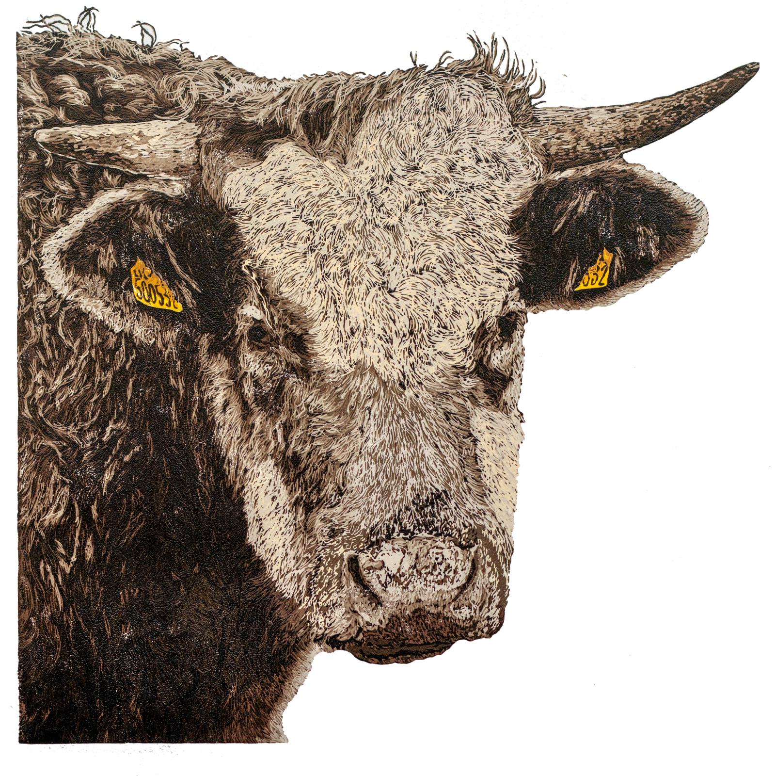The Bull of Cissbury 