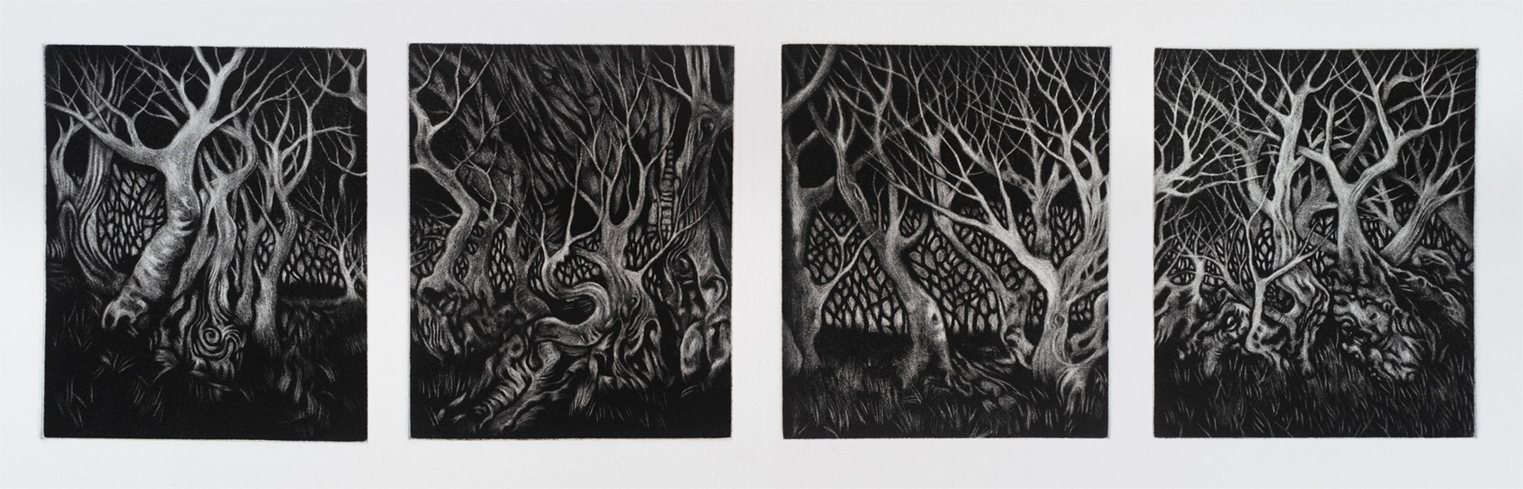 Wood of Wild Olive