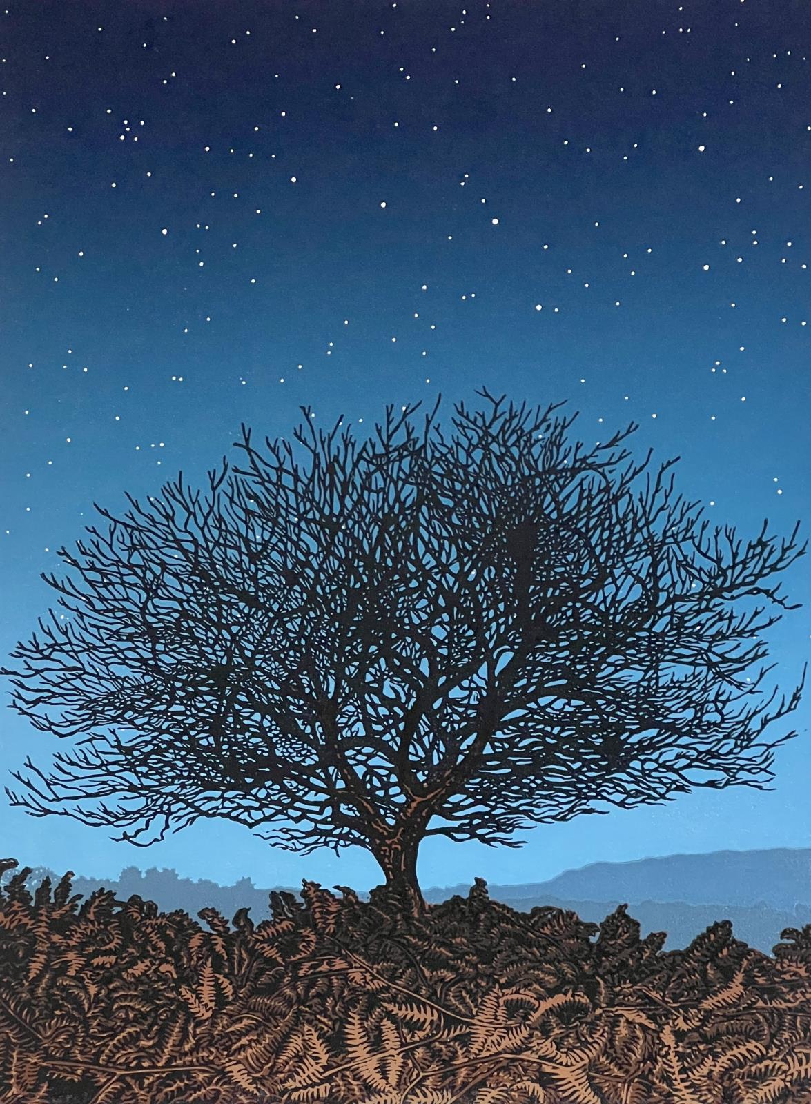 Reach For The Stars