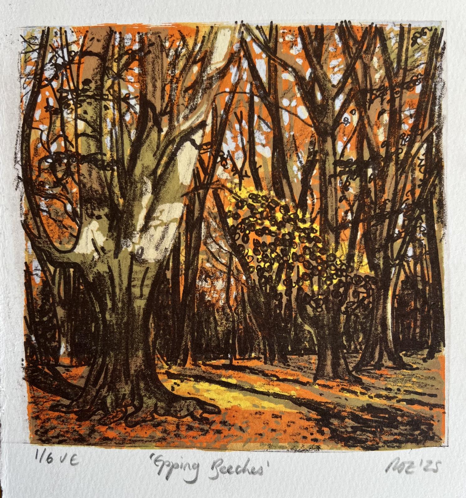 Epping Beeches 