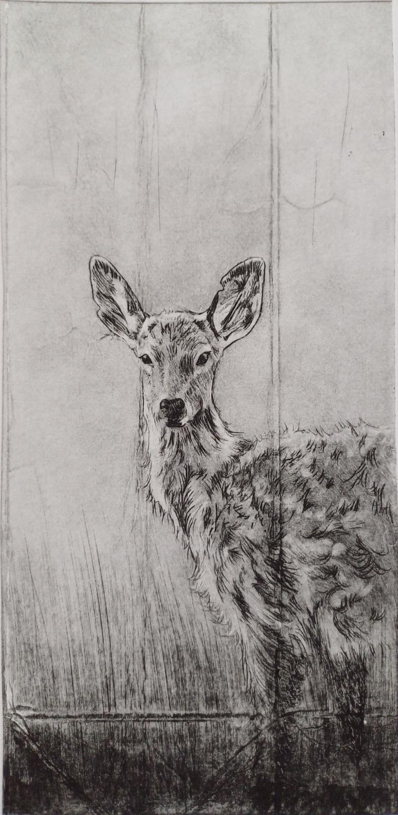 Deer
