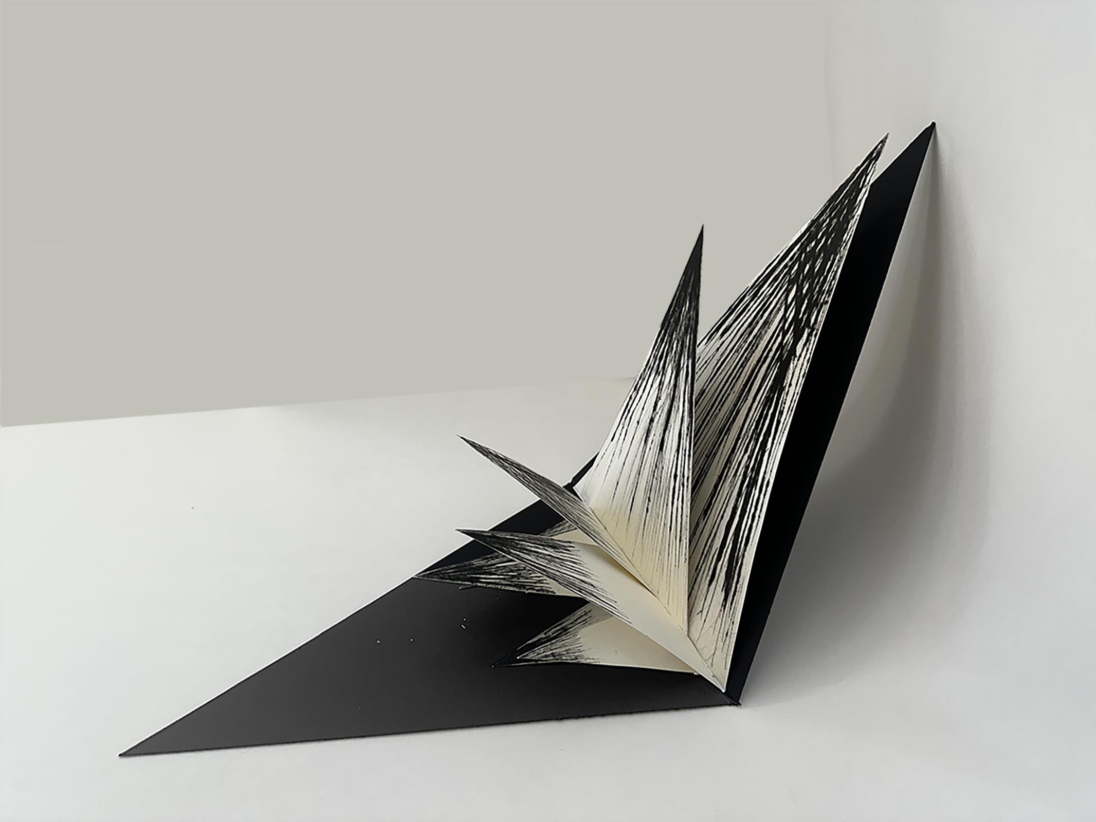 Serra: Artist's Book - Multiple Choice Series
