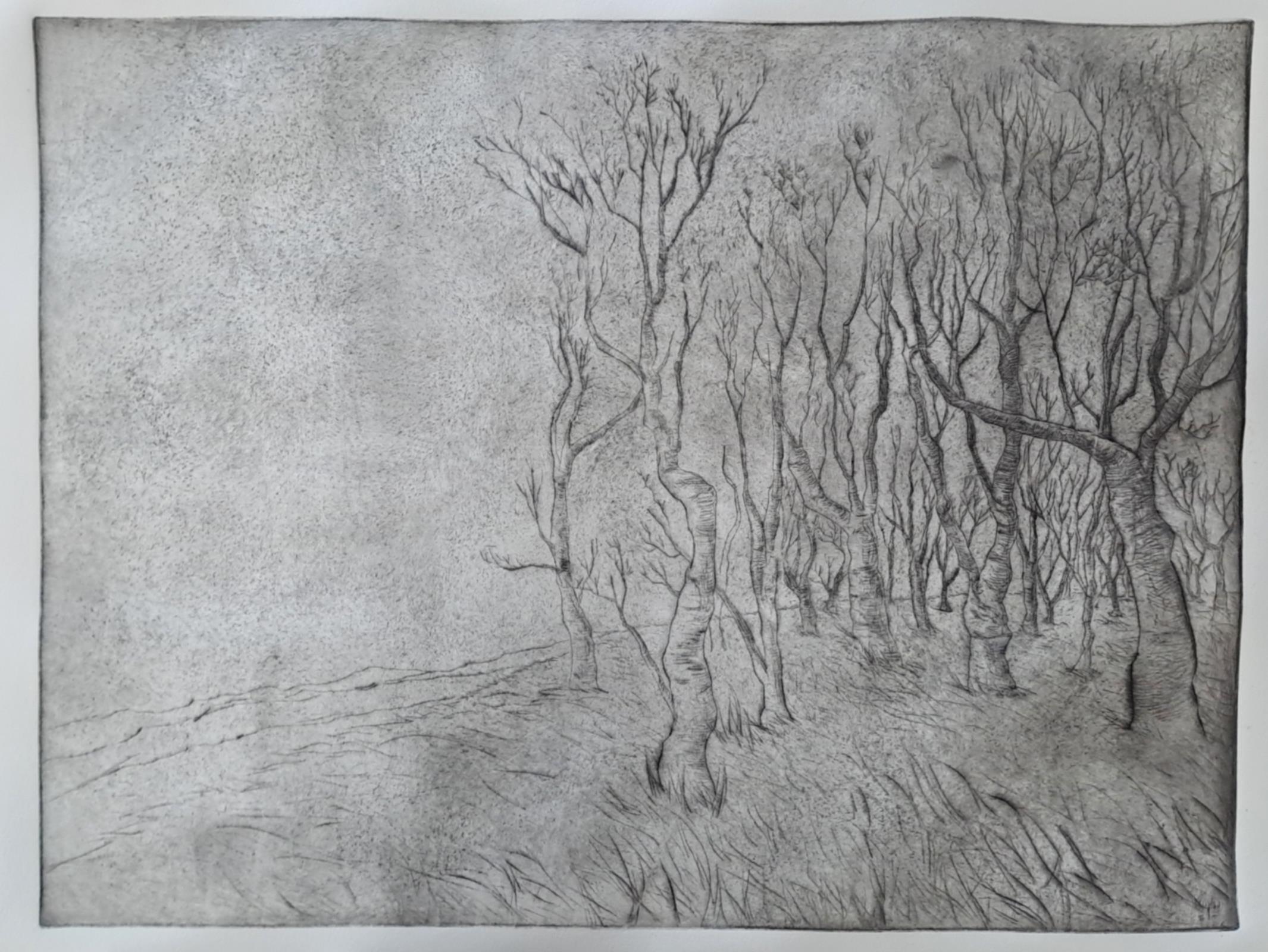 The Clearing