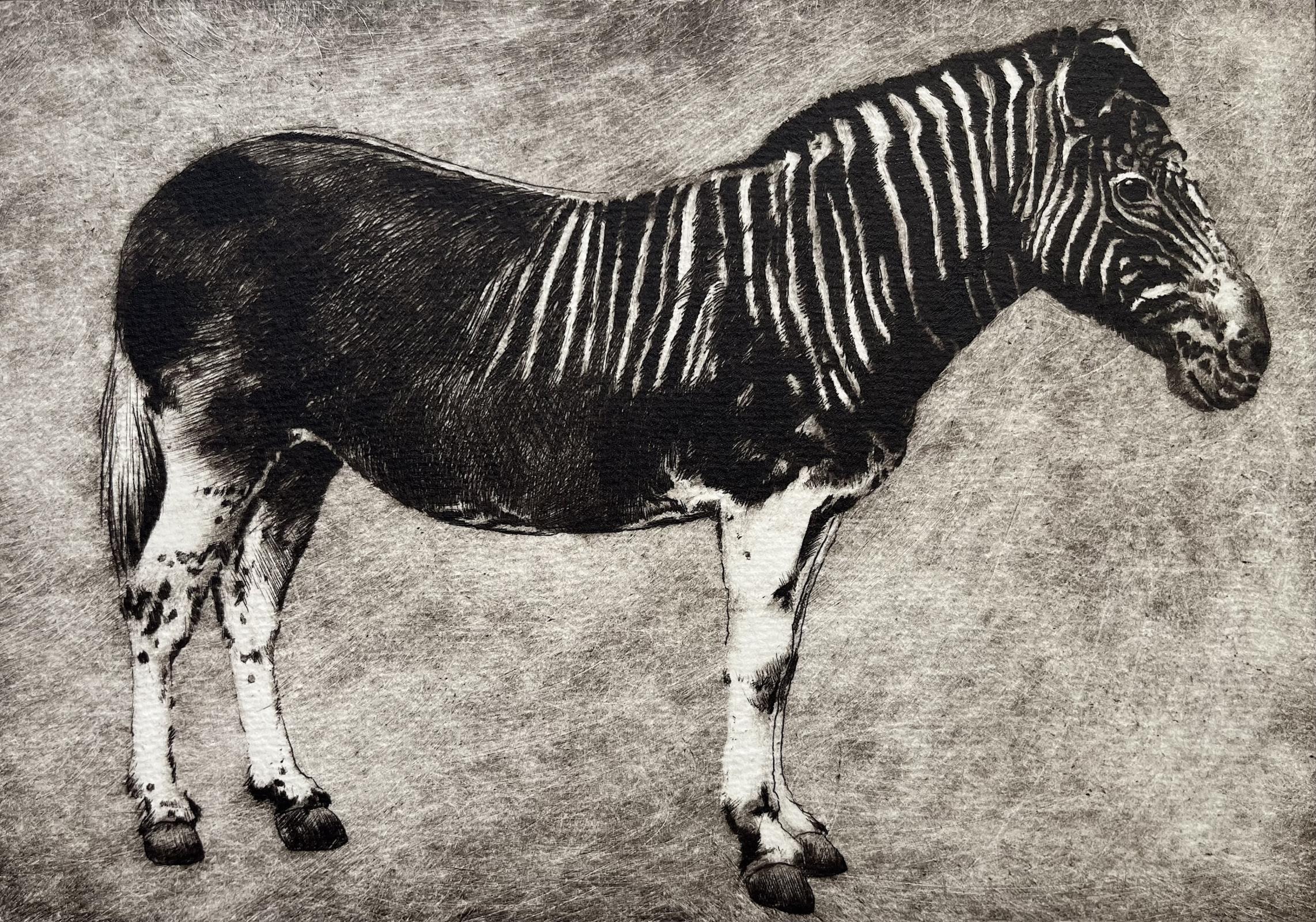 The Last Quagga, Extinct 1883