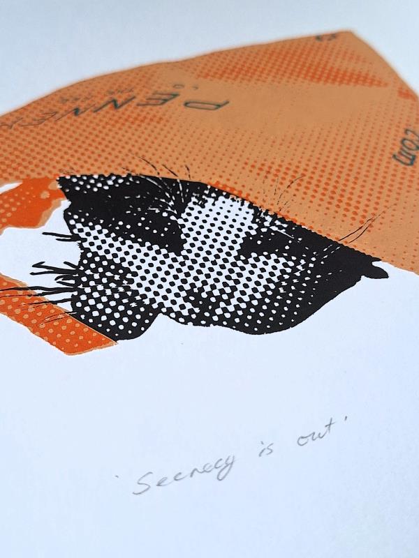 Making Home - Secrecy Is Out