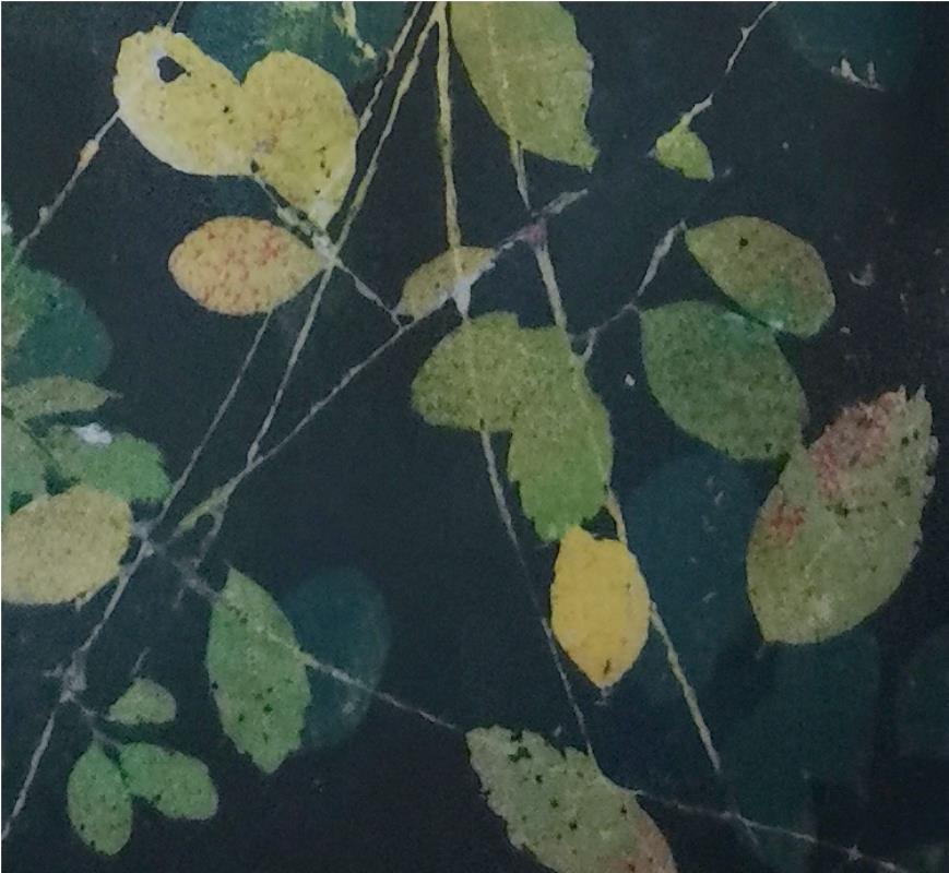 Folige