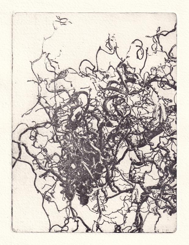Bäume 4 (Trees 4) 