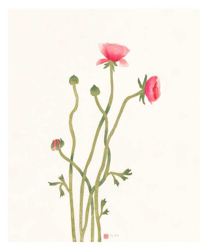 Summer Blooms