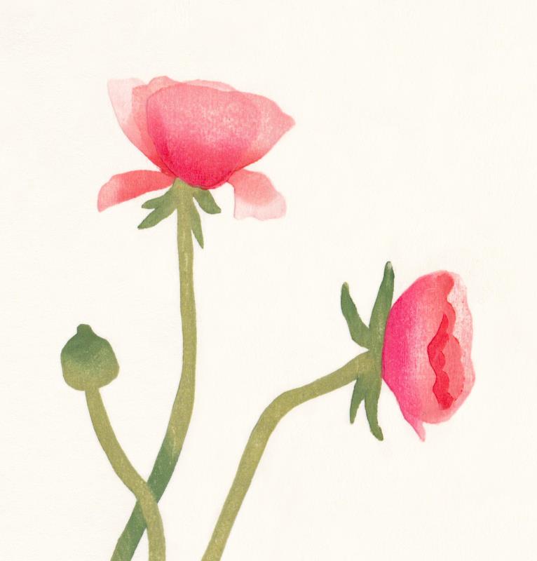 Summer Blooms