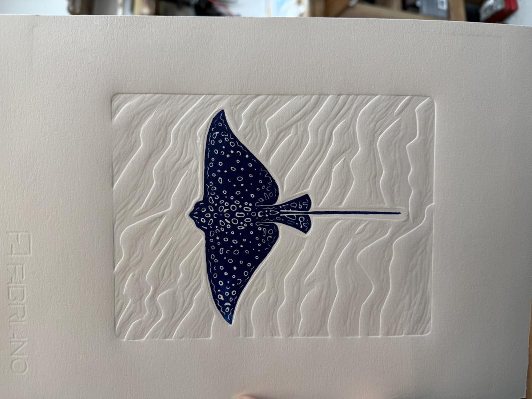 Spotted Eagle Ray