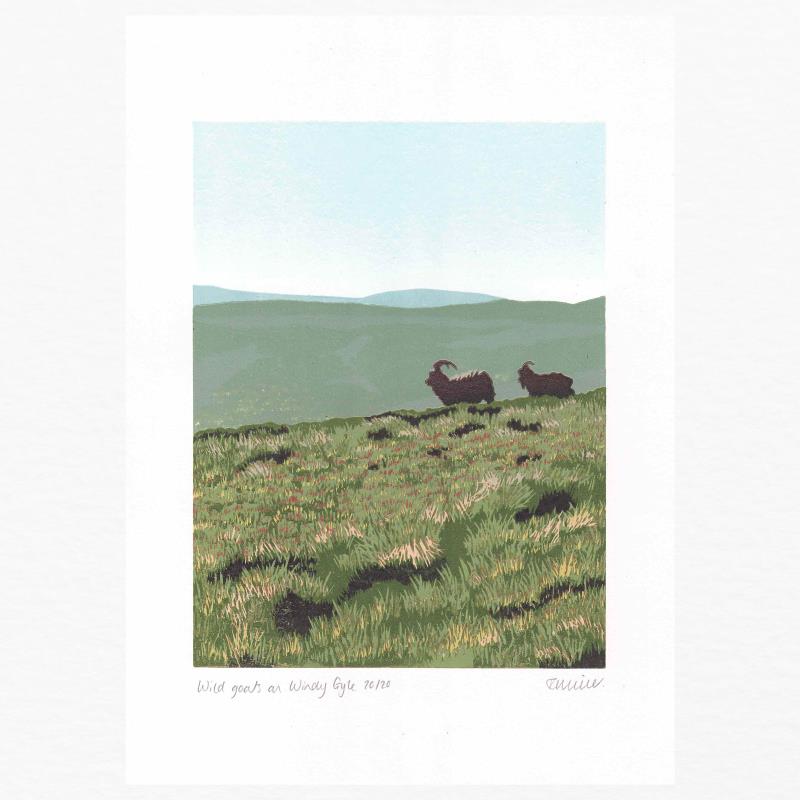 Wild Goats on Windy Gyle