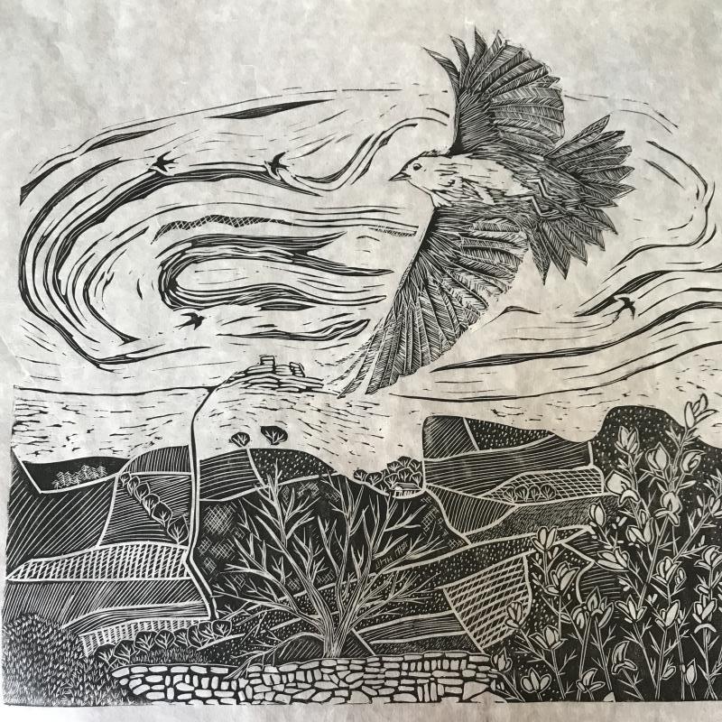 Skylark on Dartmoor