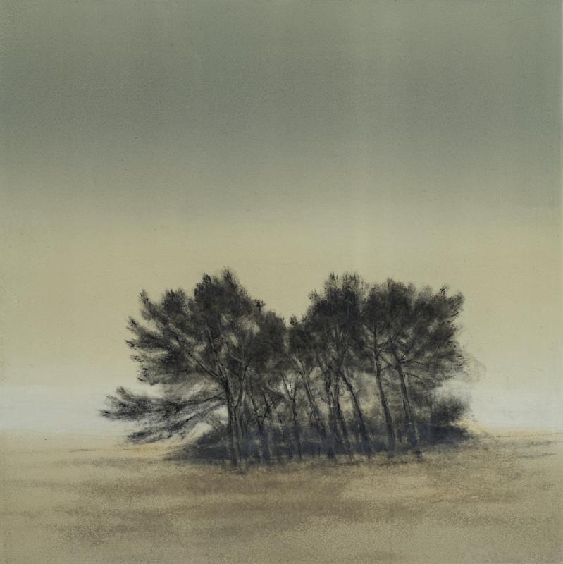 Dune Pines