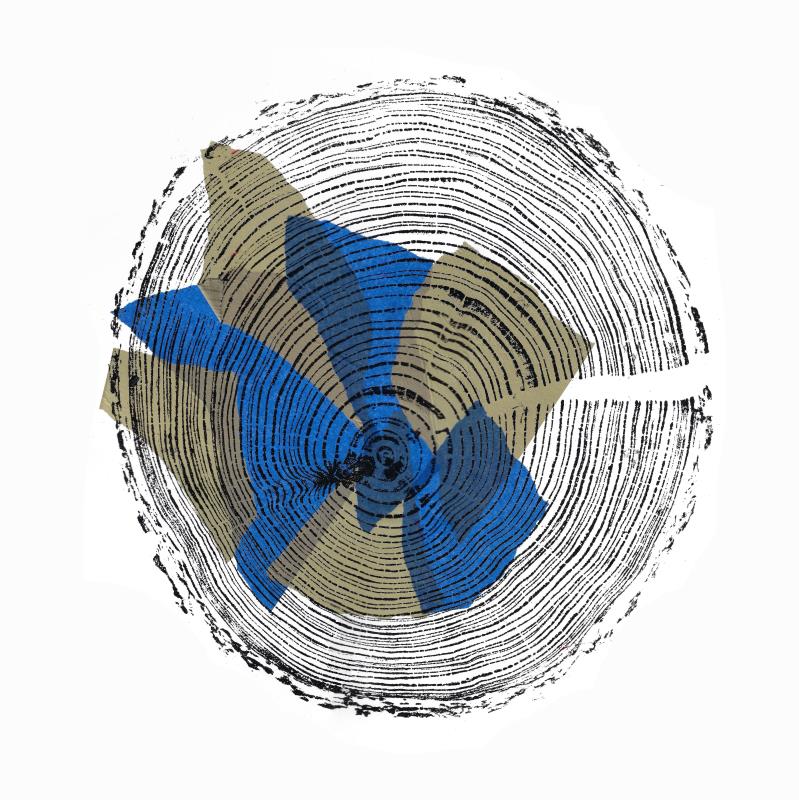 Gold and Navy larch Tree Ring Print