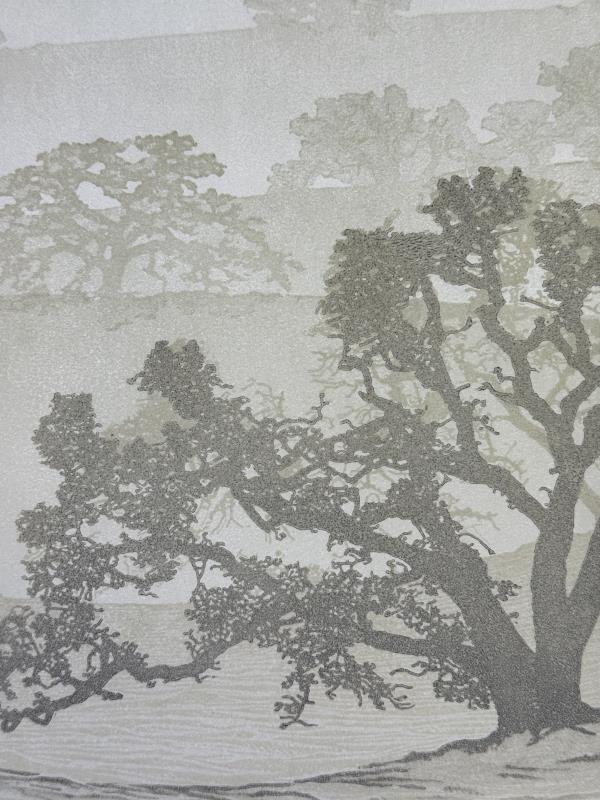 Tranquility's Veil
