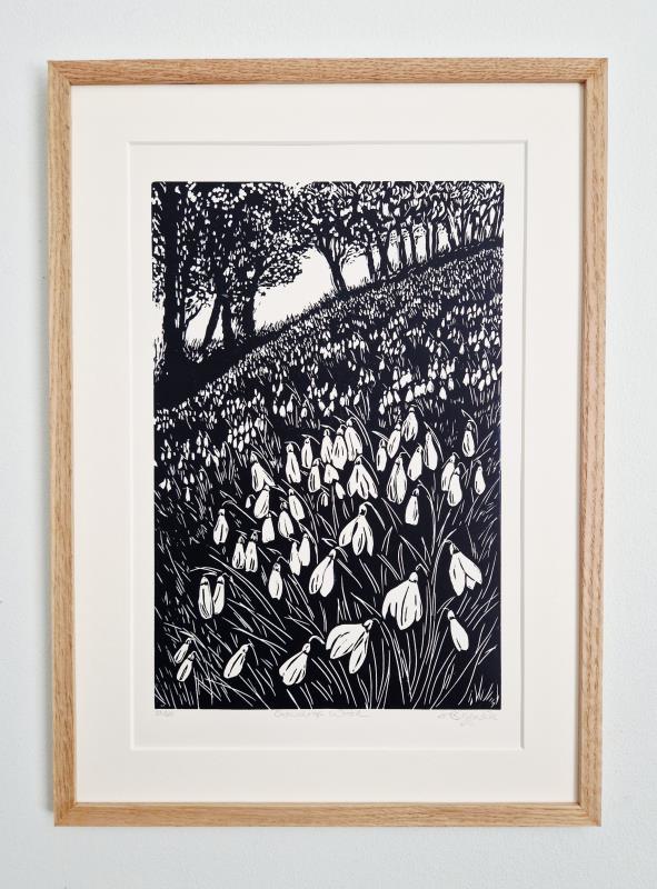 Snowdrop Wood