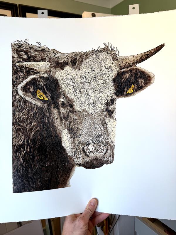 The Bull of Cissbury 
