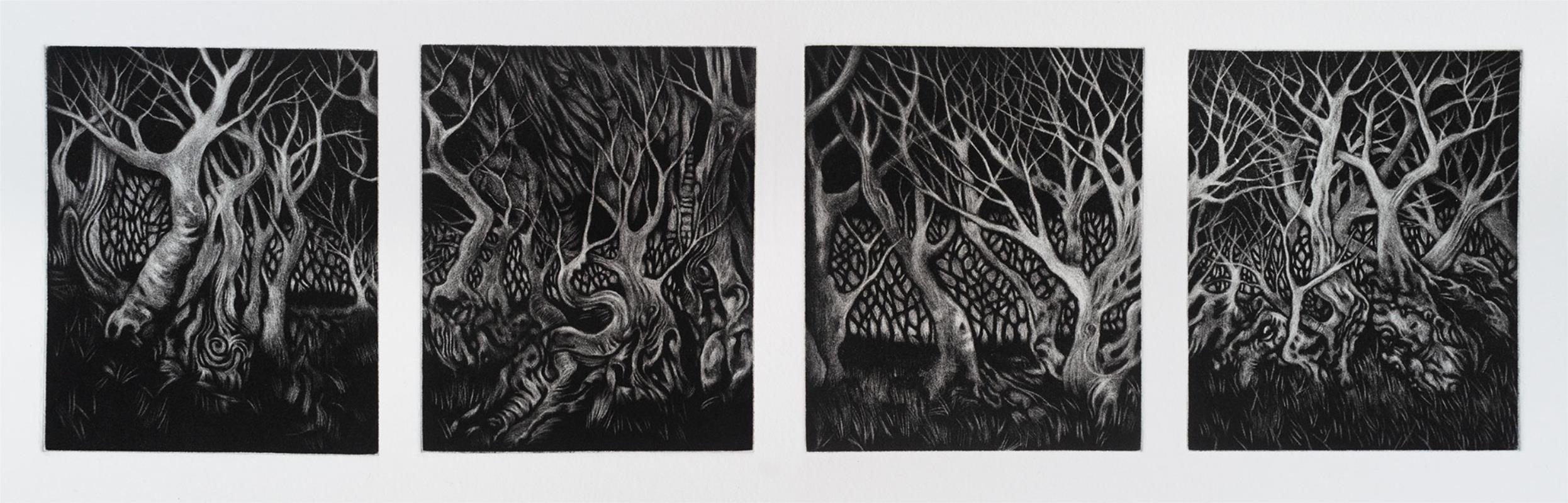 Wood of Wild Olive
