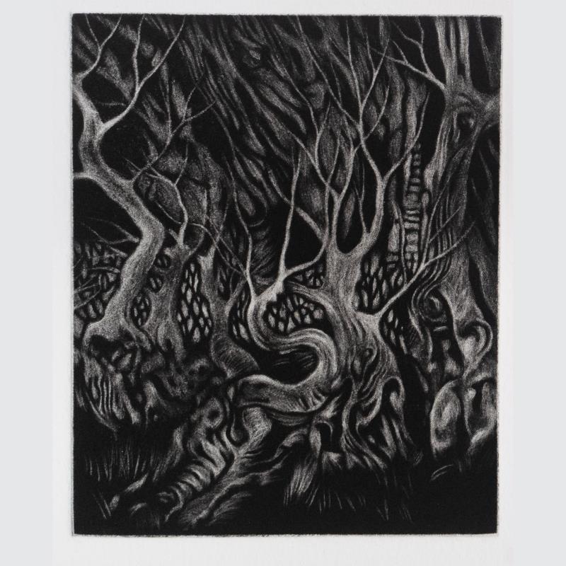 Wood of Wild Olive