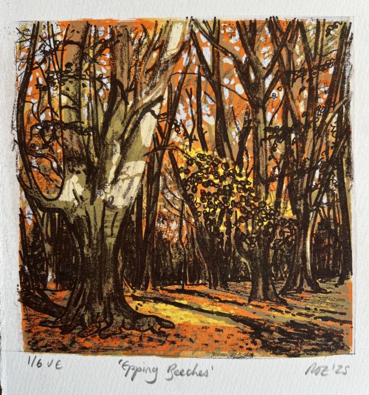 Epping Beeches 