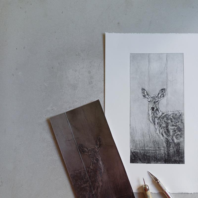 Deer